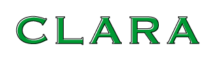 CLARA logo medium size